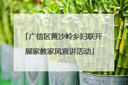 广信区黄沙岭乡妇联开展家教家风宣讲活动
