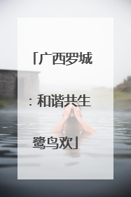 广西罗城：和谐共生鹭鸟欢