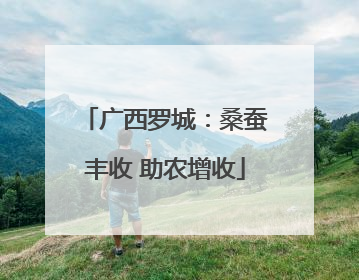 广西罗城：桑蚕丰收 助农增收