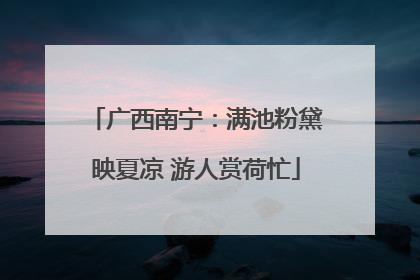 广西南宁：满池粉黛映夏凉 游人赏荷忙