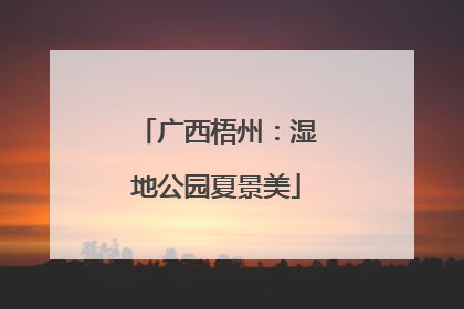 广西梧州：湿地公园夏景美