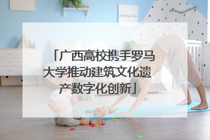 广西高校携手罗马大学推动建筑文化遗产数字化创新