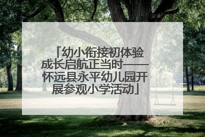 幼小衔接初体验 成长启航正当时——怀远县永平幼儿园开展参观小学活动