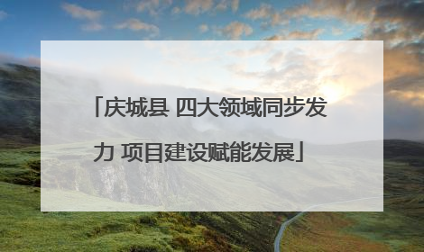 庆城县 四大领域同步发力 项目建设赋能发展