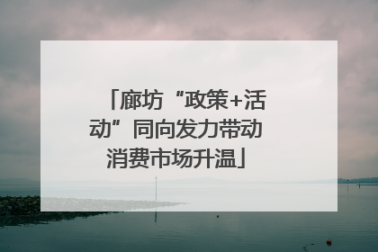 廊坊“政策+活动”同向发力带动消费市场升温