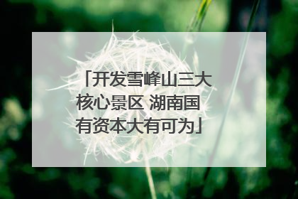 开发雪峰山三大核心景区 湖南国有资本大有可为