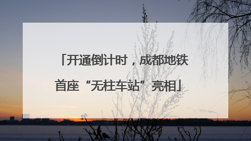 开通倒计时，成都地铁首座“无柱车站”亮相