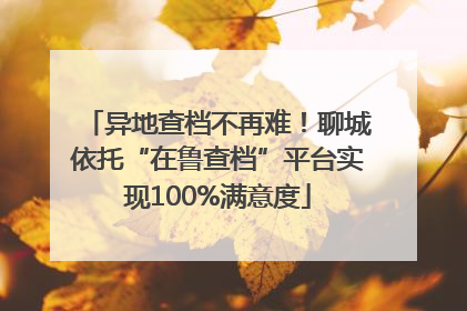 异地查档不再难！聊城依托“在鲁查档”平台实现100%满意度