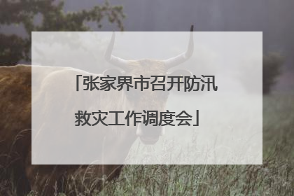 张家界市召开防汛救灾工作调度会