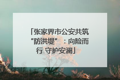 张家界市公安共筑“防洪堤”：向险而行 守护安澜