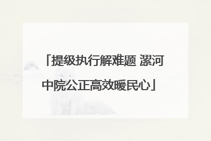 提级执行解难题 漯河中院公正高效暖民心