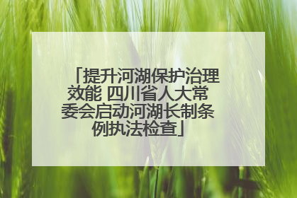 提升河湖保护治理效能 四川省人大常委会启动河湖长制条例执法检查