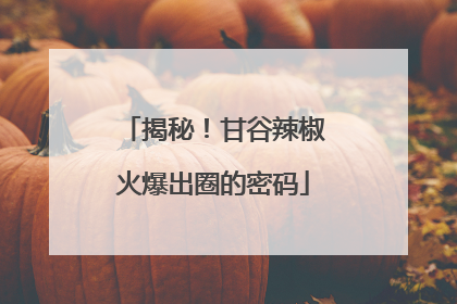 揭秘！甘谷辣椒火爆出圈的密码
