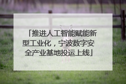 推进人工智能赋能新型工业化，宁波数字安全产业基地投运上线