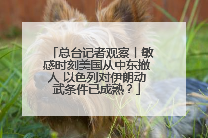 总台记者观察丨敏感时刻美国从中东撤人 以色列对伊朗动武条件已成熟？