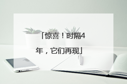 惊喜！时隔4年，它们再现