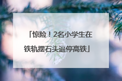 惊险！2名小学生在铁轨摆石头逼停高铁