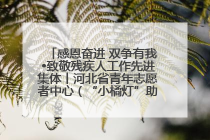 感恩奋进 双争有我•致敬残疾人工作先进集体丨河北省青年志愿者中心（“小橘灯”助残接力计划实施团队）：用温暖陪伴，守护特殊孩子成长