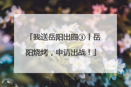 我送岳阳出圈③丨岳阳烧烤，申请出战！