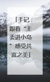 手记：跟着“主委进小岛”感受共富之美