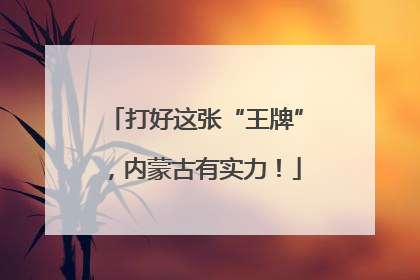 打好这张“王牌”，内蒙古有实力！