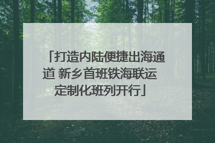 打造内陆便捷出海通道 新乡首班铁海联运定制化班列开行