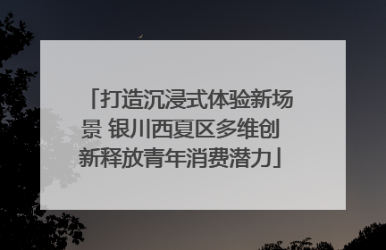 打造沉浸式体验新场景 银川西夏区多维创新释放青年消费潜力