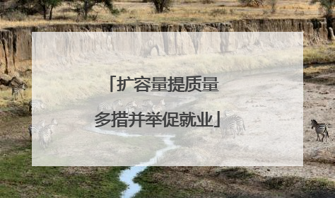 扩容量提质量 多措并举促就业