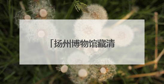 扬州博物馆藏清代扇面来泉展出
