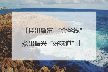 挂出致富 “金丝线” 煮出振兴“好味道”