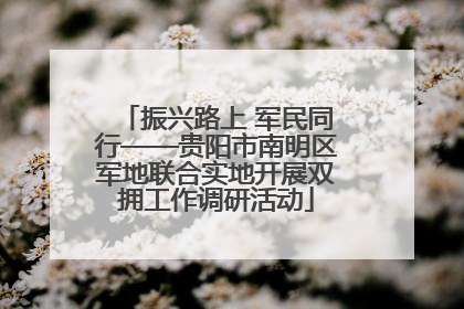 振兴路上 军民同行——贵阳市南明区军地联合实地开展双拥工作调研活动