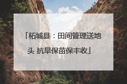 柘城县：田间管理送地头 抗旱保苗保丰收