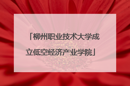 柳州职业技术大学成立低空经济产业学院