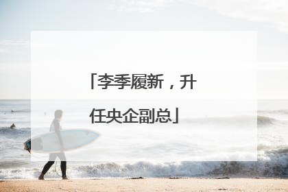 李季履新，升任央企副总