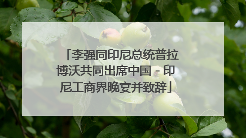 李强同印尼总统普拉博沃共同出席中国－印尼工商界晚宴并致辞