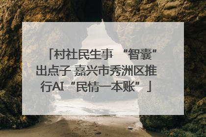 村社民生事 “智囊”出点子 嘉兴市秀洲区推行AI“民情一本账”