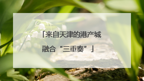 来自天津的港产城融合“三重奏”