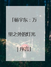 杨宇东：万里之外的灯光｜序言