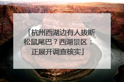 杭州西湖边有人拔断松鼠尾巴？西湖景区：正展开调查核实