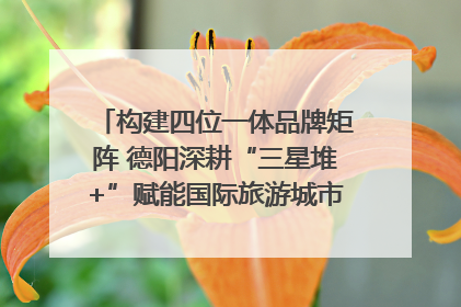 构建四位一体品牌矩阵 德阳深耕“三星堆+”赋能国际旅游城市建设｜文旅局长说
