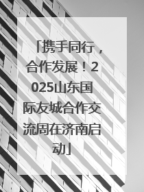 携手同行，合作发展！2025山东国际友城合作交流周在济南启动