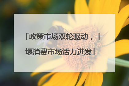 政策市场双轮驱动，十堰消费市场活力迸发