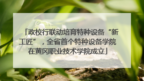 政校行联动培育特种设备“新工匠”，全省首个特种设备学院在黄冈职业技术学院成立