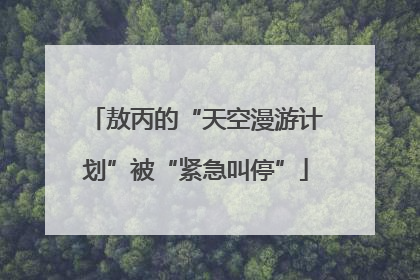 敖丙的“天空漫游计划”被“紧急叫停”