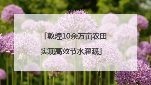 敦煌10余万亩农田实现高效节水灌溉