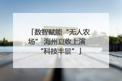 数智赋能“无人农场” 海州夏收上演“科技丰景”