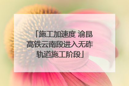 施工加速度 渝昆高铁云南段进入无砟轨道施工阶段