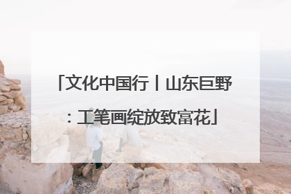 文化中国行丨山东巨野：工笔画绽放致富花
