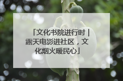 文化书院进行时｜露天电影进社区，文化烟火暖民心