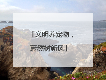 文明养宠物，蔚然树新风